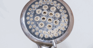 Salt Residue around Showerhead