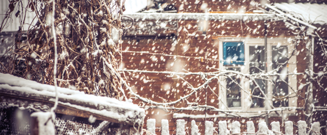 Don't get left out in the Cold this Winter. Call Greco and Haines to make sure your well water system is protected.