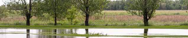 how to handle a flooded well in connecticut